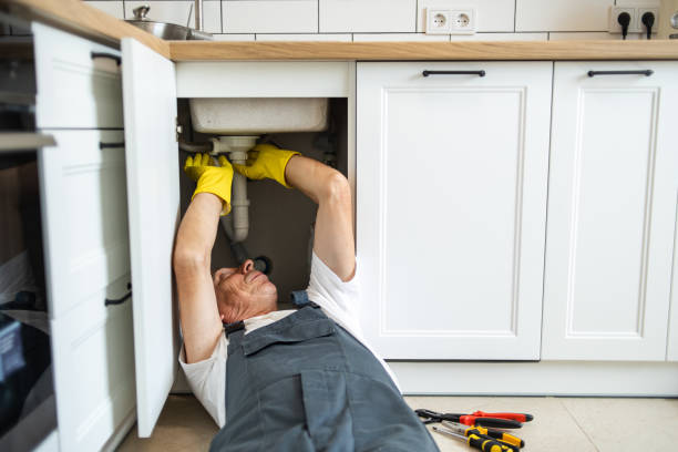 Best Commercial Plumbing Services  in Mendota Heights, MN